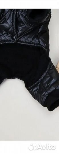 Комбенизон для маленьких собак