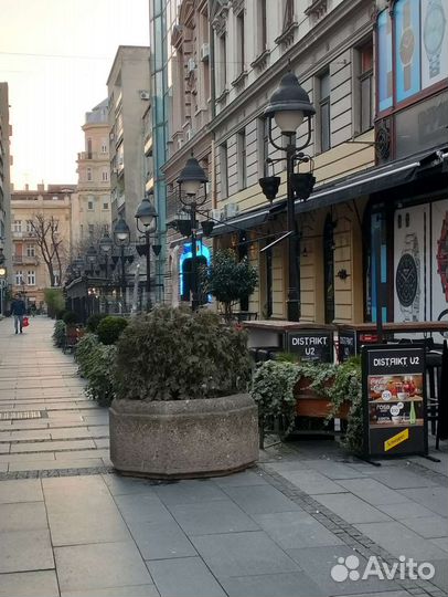Сербия. Релокация, ВНЖ