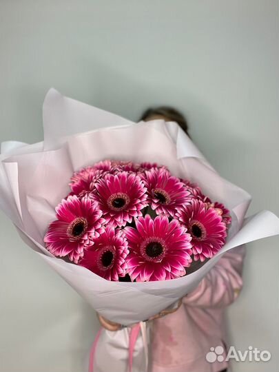Герберы. Цветы. Доставка