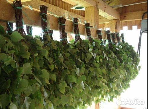 Банные веники размер XXL