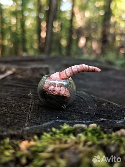 Елочные игрушки