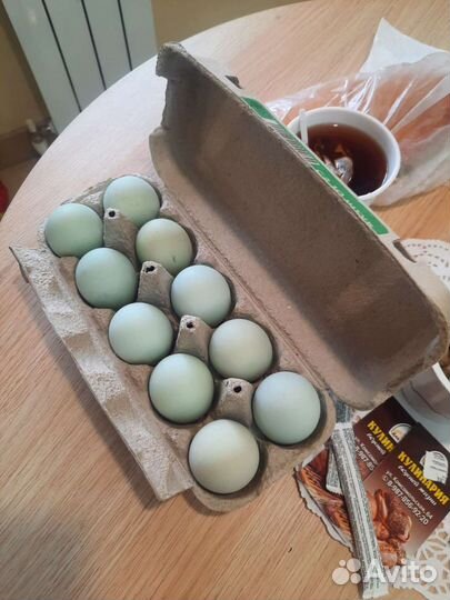 Инкубационное яйцо куриное домашние . цена 20 р