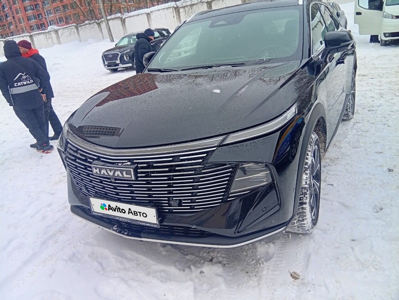 HAVAL F7: фото владельца