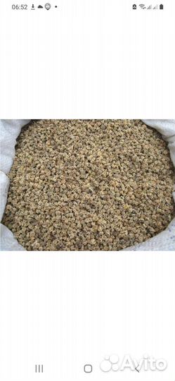 Семена кормовой свеклы