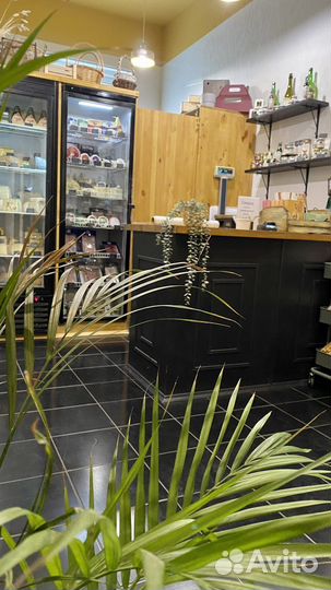 Продаем готовый бизнес Студия сыра Latteria