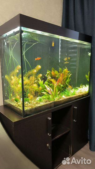 Аквариум