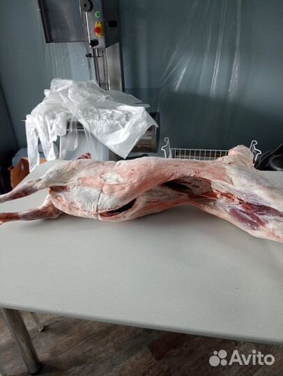 Продукты питания