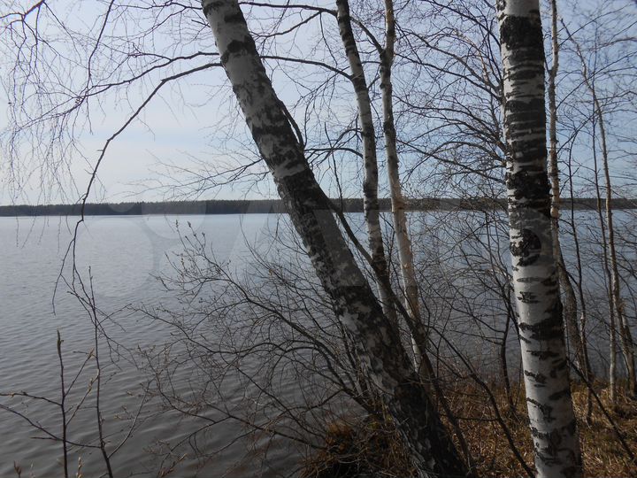 Участок 2 га (СНТ, ДНП)