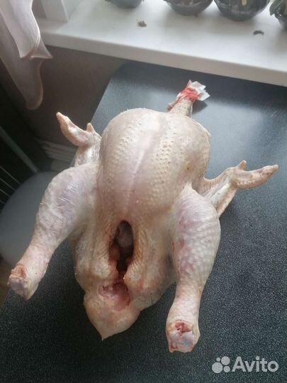 Мясо домашней индейки