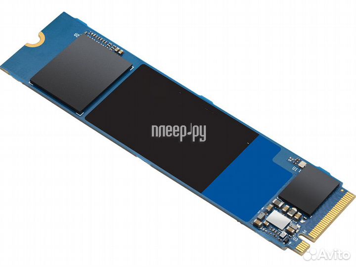 Western Digital Blue SN550 1Tb WDS100T2B0C
