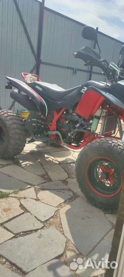 Ирбис 250s