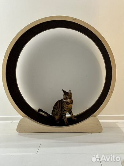 Беговое колесо для кошек