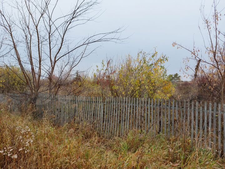 Участок 10 сот. (СНТ, ДНП)