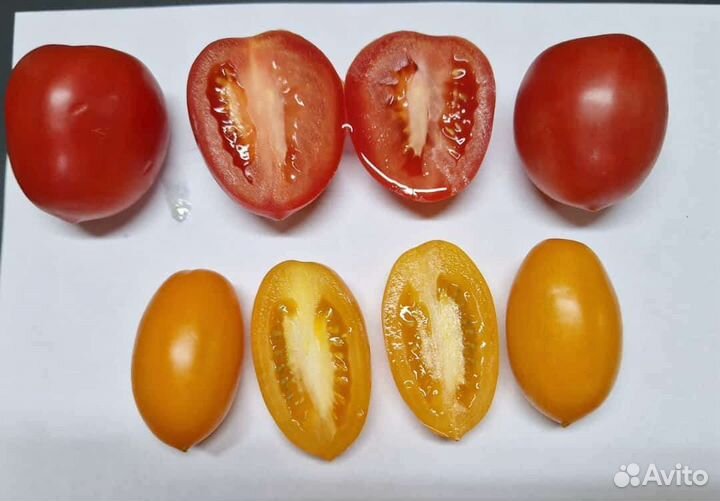 Томат в ассортименте