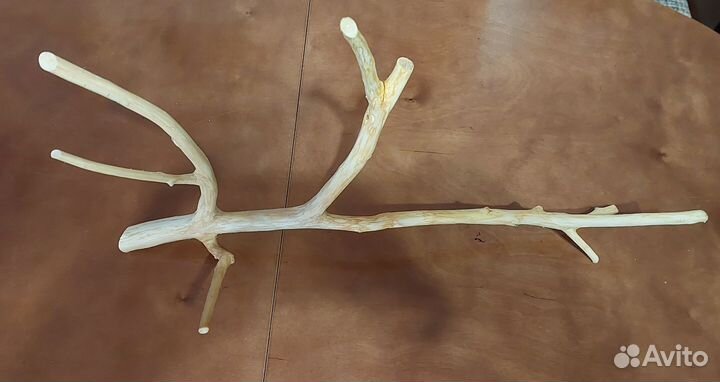 Коряга в аквариум