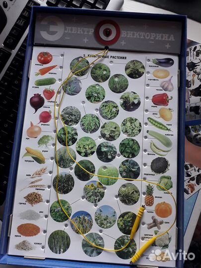 Электровикторина Живая природа настольная игра