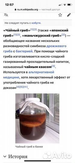 Чайный гриб Комбуча