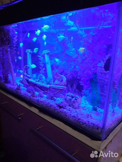 Аквариум с тумбой 150л