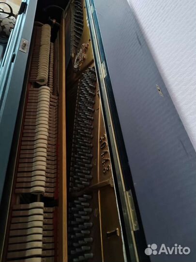 Пианино шредер