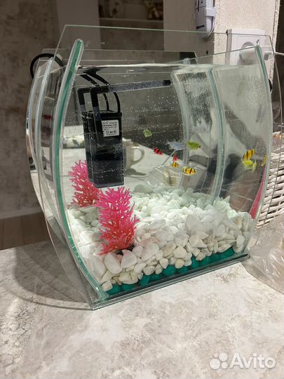Аквариум с рыбками