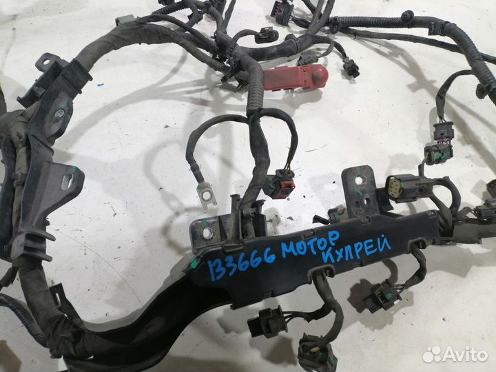 Электропроводка двигателя (Geely Coolray)