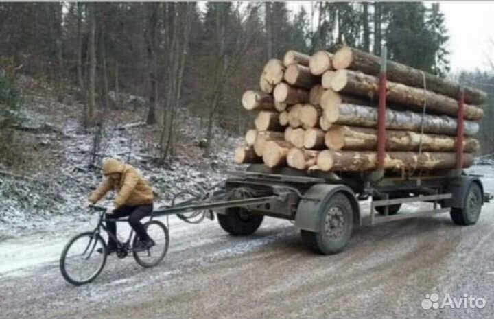 Пилорамщик