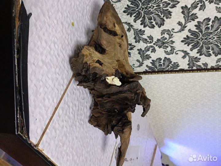 Коряга для аквариума
