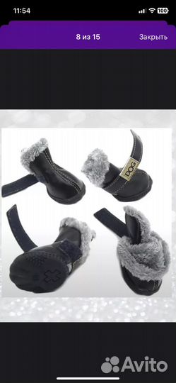 Обувь для собак