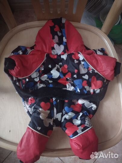 Одежда для маленьких собак бу