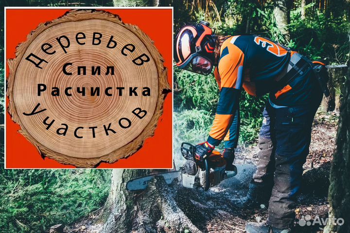 Спил деревьев расчистка участка