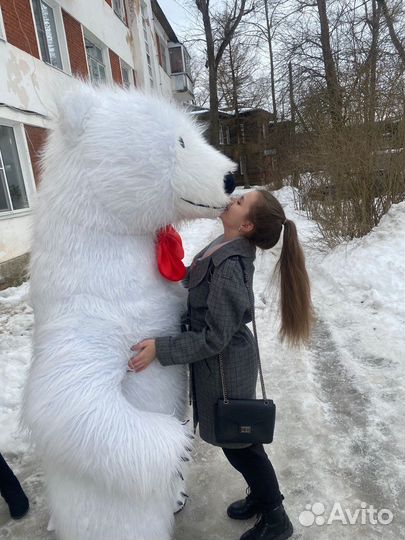 Экспресс поздравления
