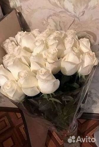 Розы Букеты Цветы Розы 31 101 151 201 Доставка