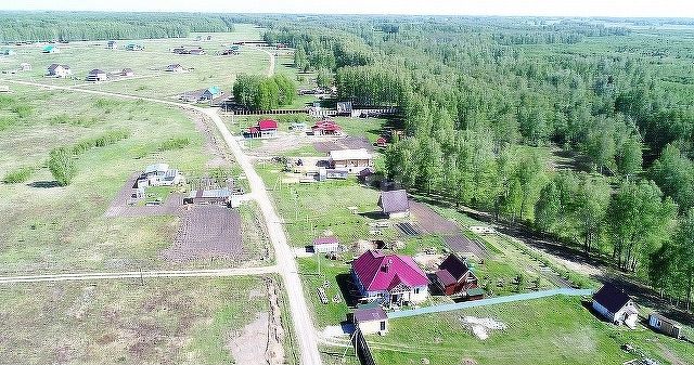 Участок 10 сот. (СНТ, ДНП)