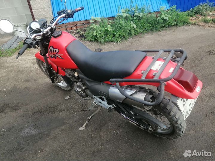 Honda SLR 650