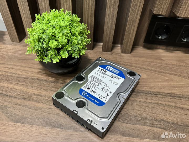 Жесткий диск 3.5 на 1Тб Western Digital Blue