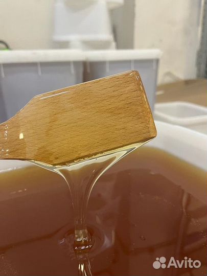 Мед свежий оптом майский