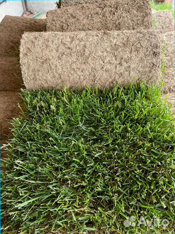 Рулонный газон от производителя