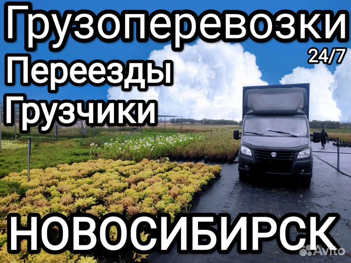 Грузоперевозки Переезды Грузчики Заказ газели