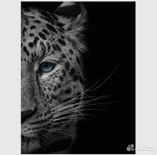 Картина на холсте loftime 30х40