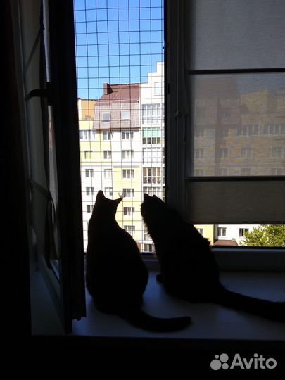 Вольер на окно, балкон для кошки