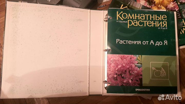 Журналы Комнатные растения