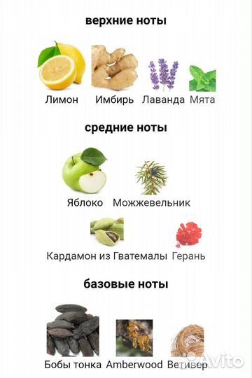 Azzaro Wanted 100 мл