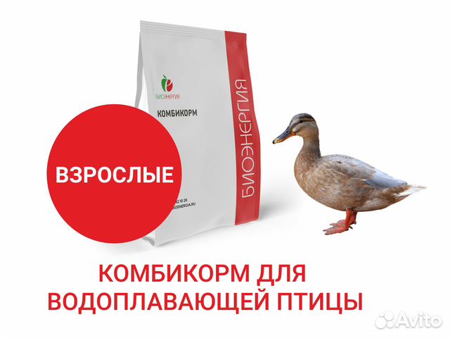 Комбикорм энгельс. Комбикорм для водоплавающей птицы.