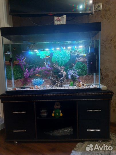 Аквариум