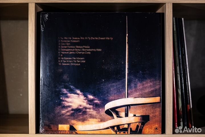 Molchat Doma - Belaya Polosa (colored LP)