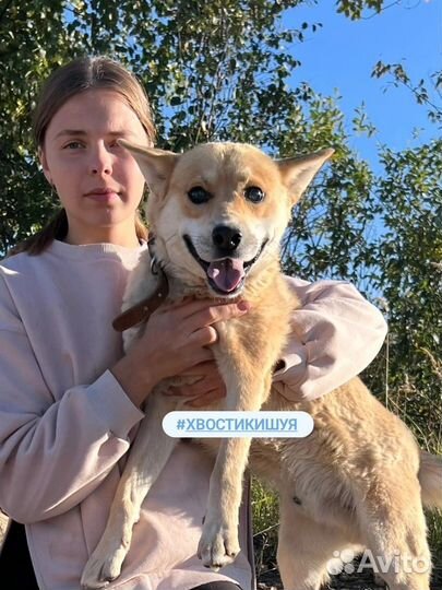 Слепой с детства Малыш