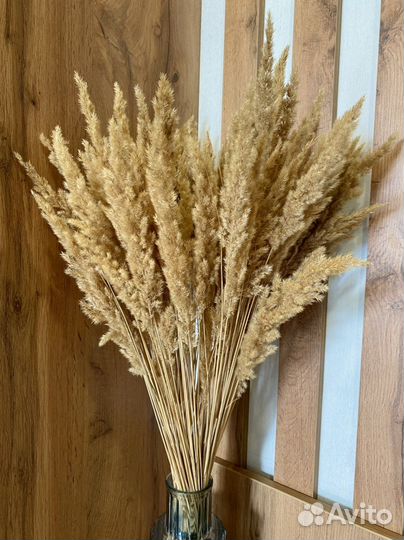 Сухоцветы букет для декора