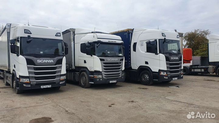 Требуется Водитель категории Е