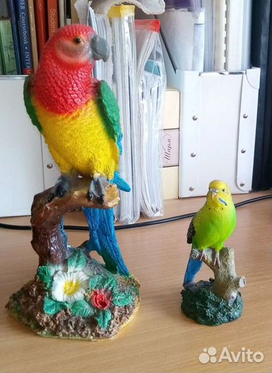 Фигурги попугаев