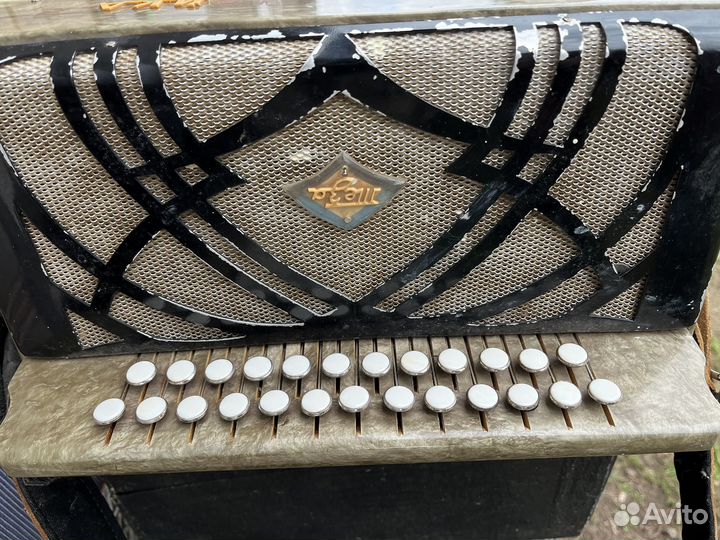 Шуйская гармонь чайка 2